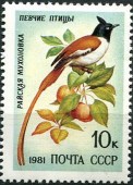 1981. Певчие птицы. Мухоловка.