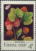 1982. Ягоды. Морошка.