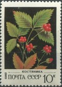 1982. Ягоды. Костяника.