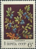1982. Ягоды. Голубика.