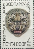 1984. Зоопарк. Ирбис.