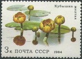 1984. Водные растения. Кубышка.
