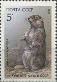 1987. Млекопитающие (Красная книга). Сурок Мензбира.