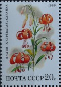 1988. Цветы. Лилия-Саранка.