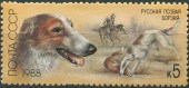 1988. Охотничьи собаки. Русская псовая борзая.