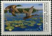 1990. Утки