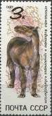 1990. Ископаемые животные. Халикотерий.