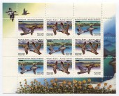 Утки. 1995