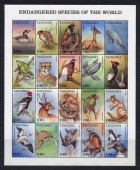 Редкие животные.МЛ.Танзания.